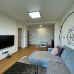 Rent 3 bedroom apartment of 63 m² in Přerov