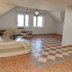 Rent 3 bedroom apartment of 140 m² in Číhošť