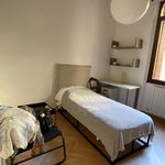 Affitto 3 camera appartamento in Padova