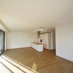 Rent 2 bedroom apartment of 100 m² in Sint-Niklaas