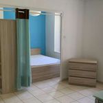 Rent 1 bedroom apartment of 28 m² in Saint-Martin-d'Hères