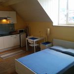 Studio apartment for rent in Brussels