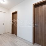 Rent 1 bedroom apartment of 152 m² in Ostrava