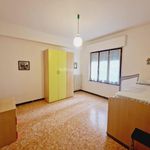 Affitto 2 camera appartamento di 110 m² in San Benedetto del Tronto