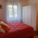 Affitto 1 camera appartamento di 43 m² in Milan