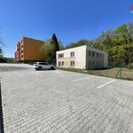 Rent 2 bedroom apartment of 43 m² in Ostrava