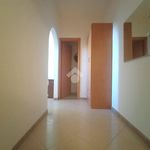 Rent 2 bedroom apartment of 50 m² in Termini Imerese