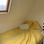 Rent 1 bedroom apartment in Utrecht