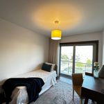 Rent 4 bedroom apartment of 158 m² in Porto