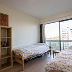 Rent a room of 100 m² in Sint-Lambrechts-Woluwe