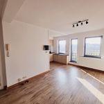 Appartement de 40 m² avec 1 chambre(s) en location à Hasselt