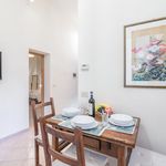 Rent 2 bedroom apartment of 55 m² in Firenze