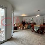 Rent 1 bedroom apartment in L'Étang-la-Ville