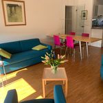 Rent 3 bedroom apartment of 90 m² in Bonn