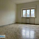Rent 3 bedroom apartment of 800 m² in Bari