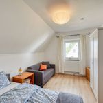 Rent 2 bedroom apartment of 40 m² in Nürnberg