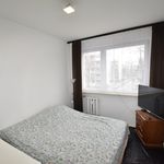 Wynajmij 2 sypialnię apartament z 45 m² w Dzierżoniów