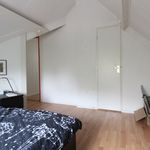 Huur 1 slaapkamer appartement van 30 m² in Eindhoven