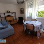 Rent 1 bedroom house of 50 m² in Fiumicino