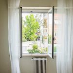 Rent 4 bedroom apartment in Pisa