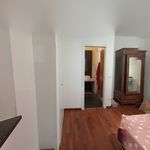 Affitto 2 camera appartamento di 55 m² in bologna