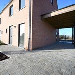 Rent 3 bedroom house of 658 m² in Ardooie