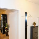 Rent 1 bedroom apartment in Bonn