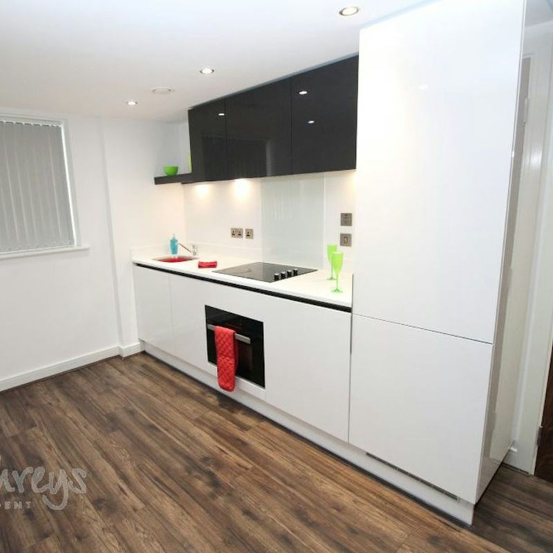 1 Bedroom Property For Rent in Birmingham - £900 pcm Brookfields