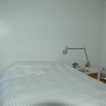 Rent 2 bedroom apartment of 102 m² in Pittem