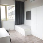 Rent a room of 116 m² in Groningen