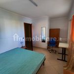 Rent 3 bedroom apartment of 57 m² in Reggio Calabria