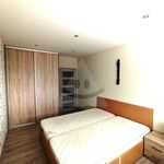 Rent 2 bedroom apartment of 50 m² in Číhošť