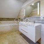 Rent 1 bedroom house of 268 m² in Plzeň