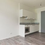 Rent 1 bedroom apartment of 23 m² in Hoornwerk