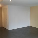 Rent 7 bedroom house of 210 m² in Erlenbach