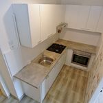 Rent 3 bedroom apartment of 50 m² in Prague