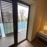 Rent 3 bedroom apartment of 80 m² in Łódź