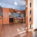 Affitto 8 camera casa di 182 m² in Sant'Agata li Battiati