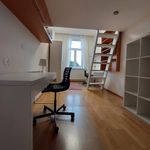 Pronajměte si pokoj o rozloze 49 m² v Brno