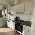 Rent 2 bedroom apartment of 64 m² in Wassenaar