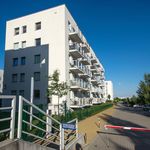 Rent 2 bedroom apartment of 45 m² in Gdansk