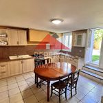 Rent 4 bedroom house of 10161 m² in Payrin-Augmontel