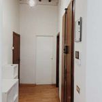 Rent 2 bedroom apartment of 78 m² in Firenze