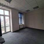 Rent 1 bedroom apartment of 106 m² in Myślenice