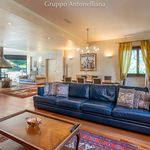 Affitto 5 camera casa di 526 m² in Pino Torinese