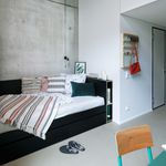 Miete 1 Schlafzimmer wohnung in Frankfurt