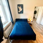 Miete 2 Schlafzimmer wohnung von 44 m² in Dresden