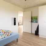 Rent 3 bedroom house of 80 m² in Ikast