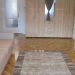 Rent 2 bedroom apartment of 62 m² in Debrecen