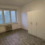Rent 1 bedroom apartment of 50 m² in Louny